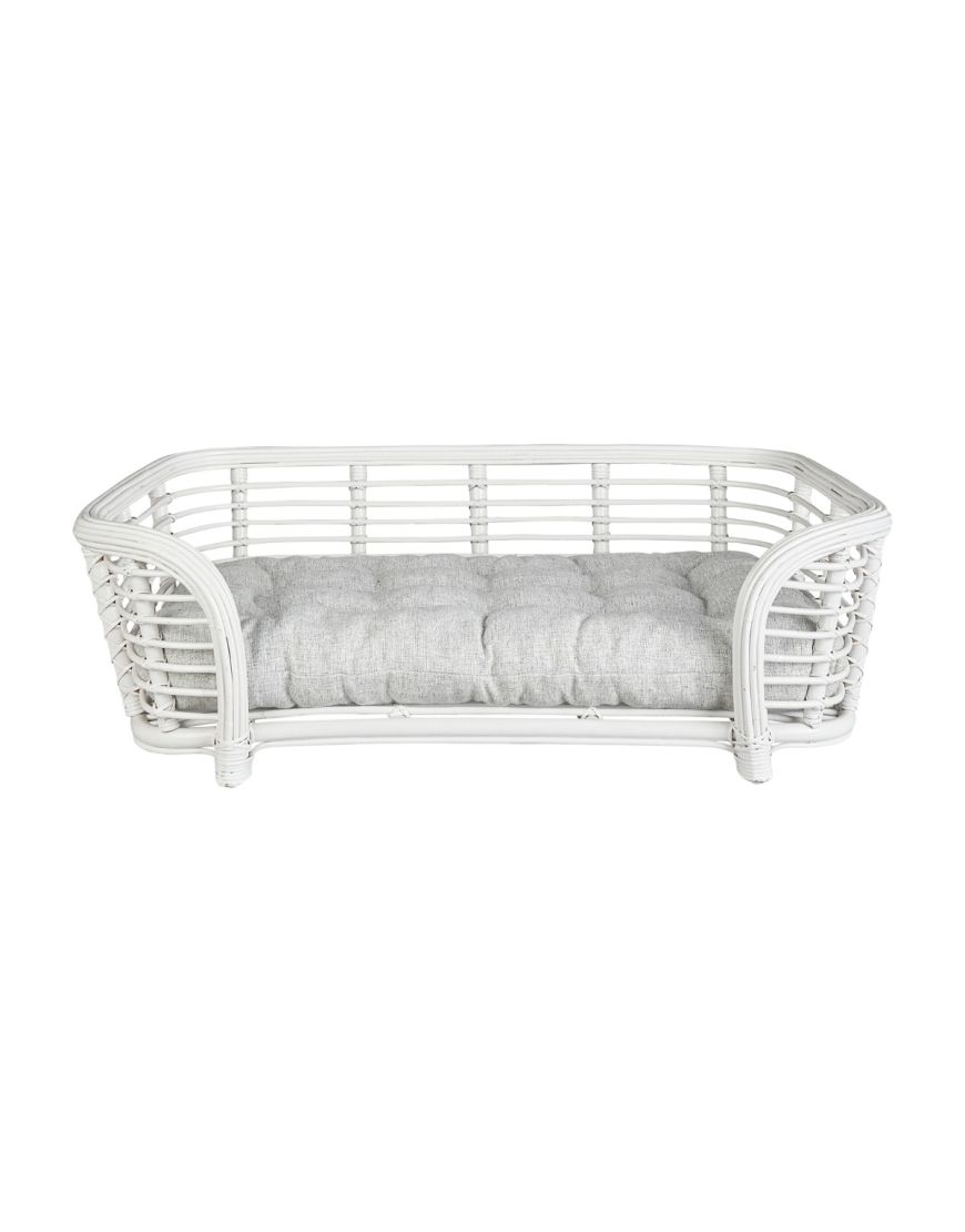 Dog beds store at ollies
