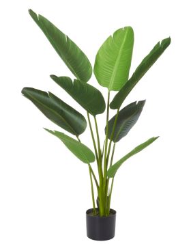 Faux Bird of Paradise Plant - Small | The Pot Project